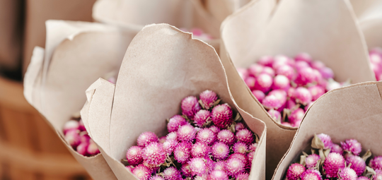 Floristeria Mundo Floral